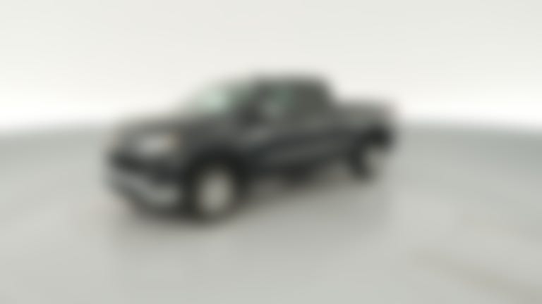 2023 Chevrolet Silverado 1500 Double Cab vehicle photo