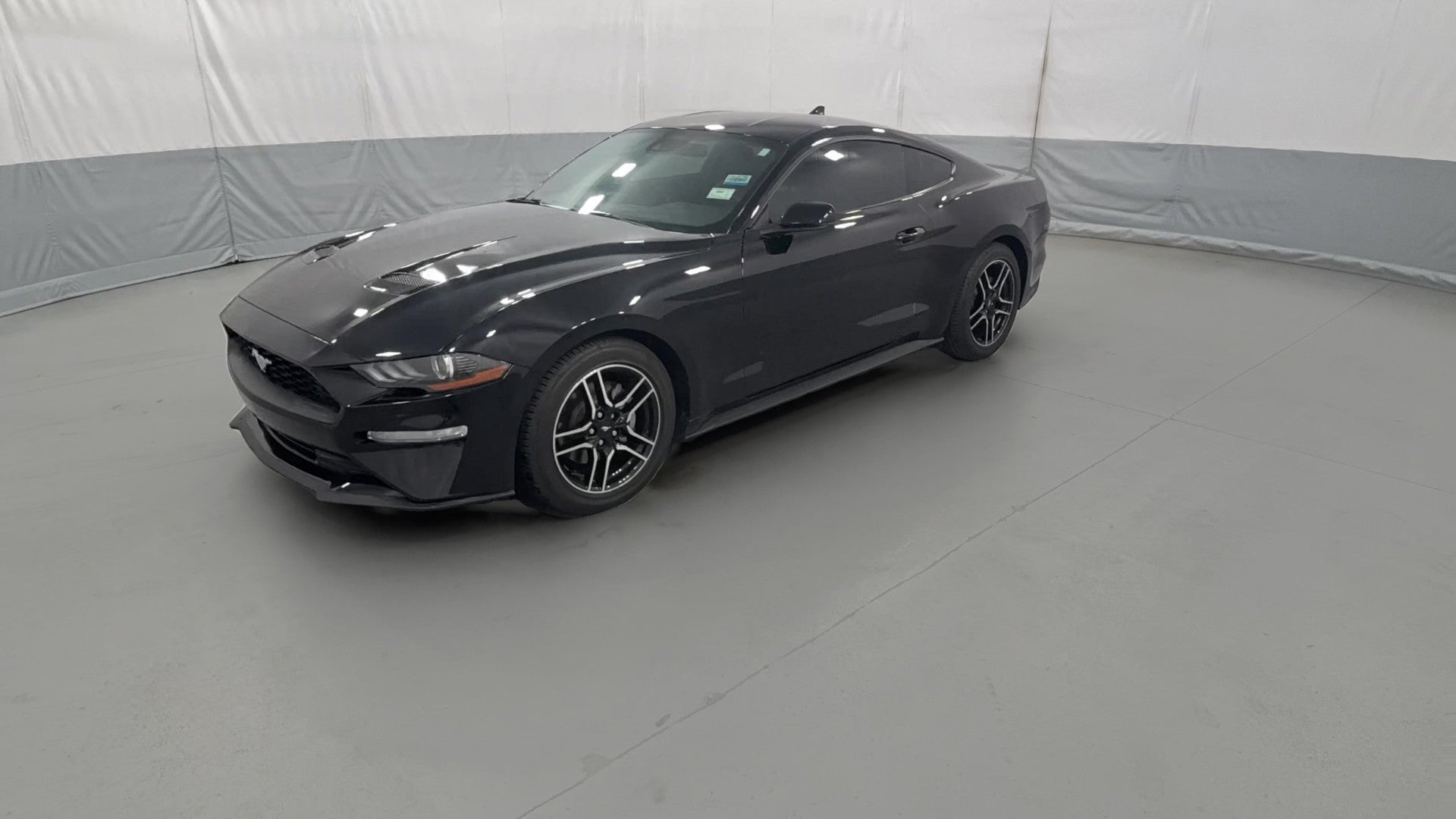 2023 Ford Mustang vehicle photo