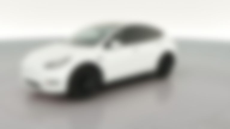 2023 Tesla Model Y vehicle photo