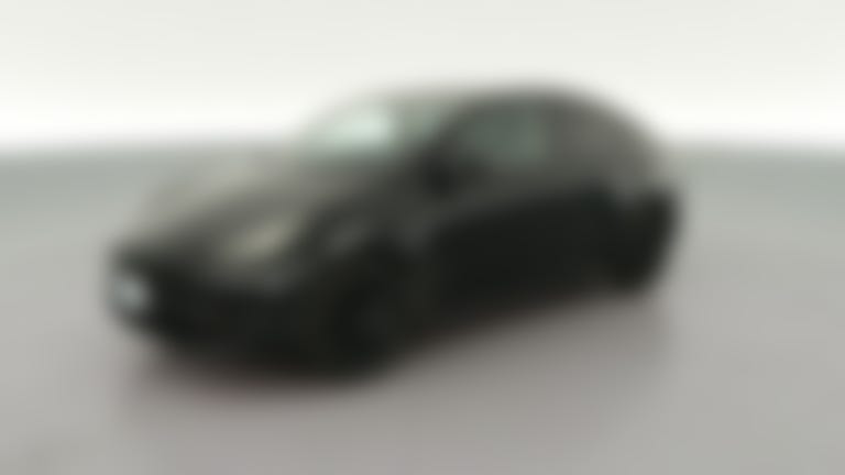 2021 Tesla Model Y vehicle photo