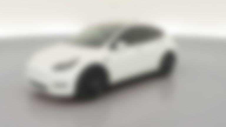 2023 Tesla Model Y vehicle photo