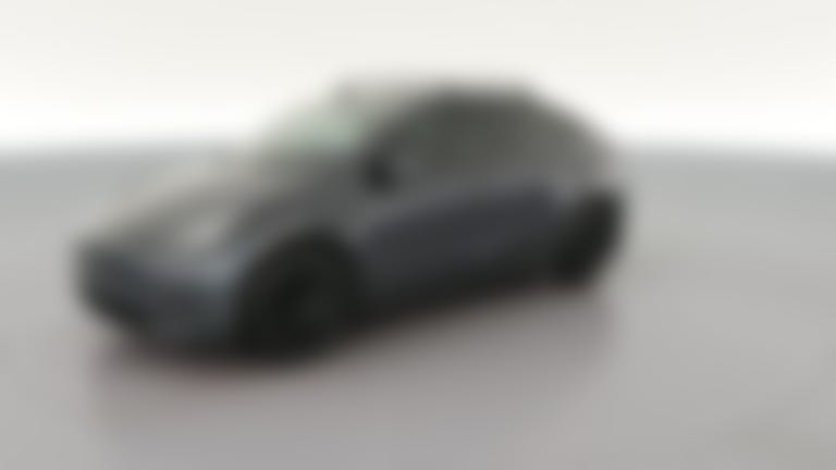 2021 Tesla Model Y vehicle photo