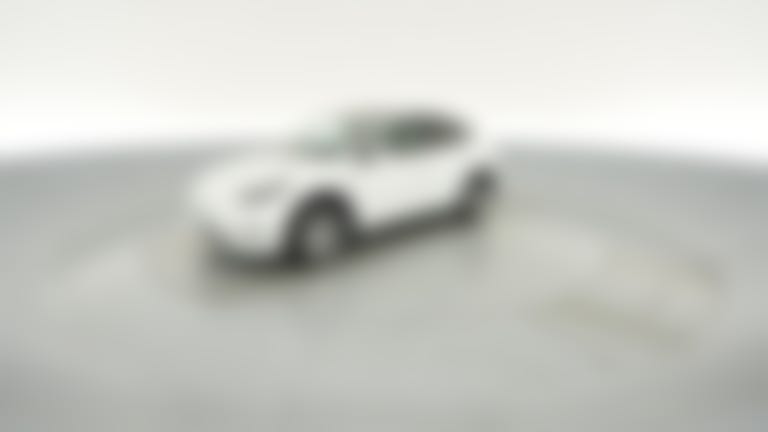 2022 Tesla Model Y vehicle photo