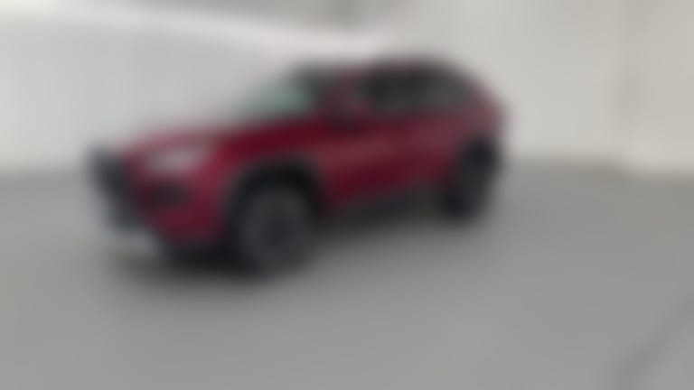 2019 Toyota RAV4 vehicle photo