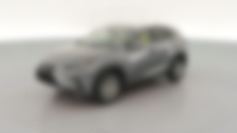2020 Lexus NX vehicle photo