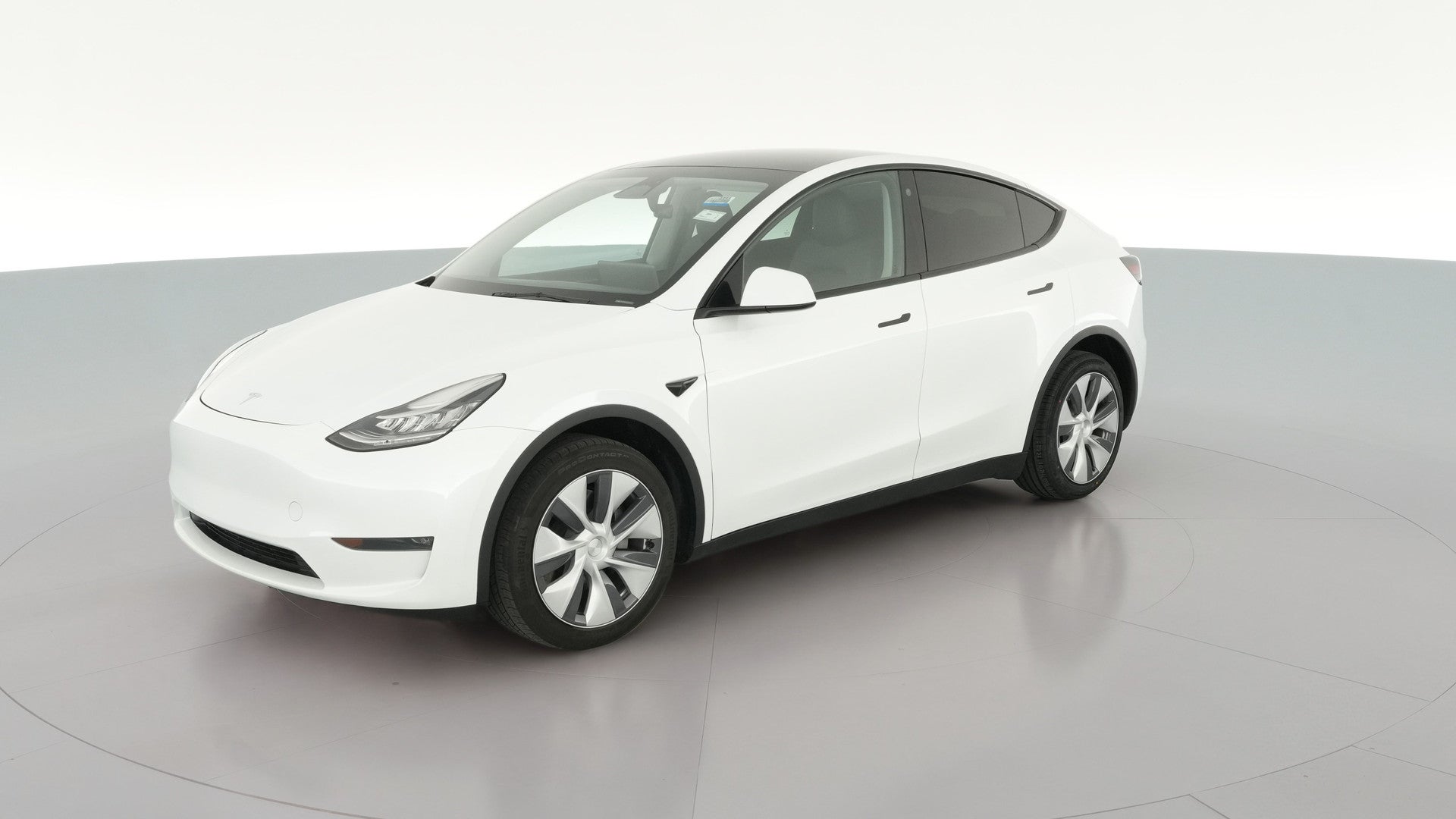 2023 Tesla Model Y vehicle photo