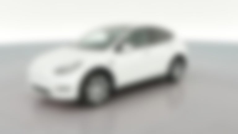 2023 Tesla Model Y vehicle photo