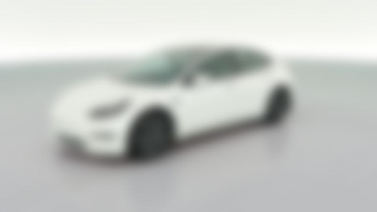 2021 Tesla Model 3 vehicle photo