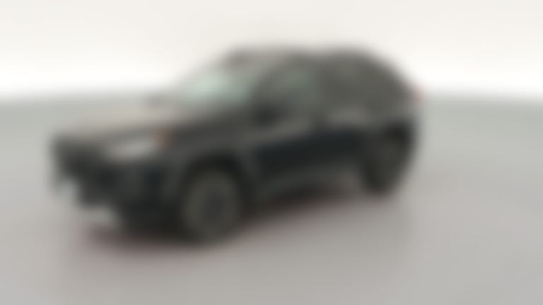 2019 Toyota RAV4 vehicle photo