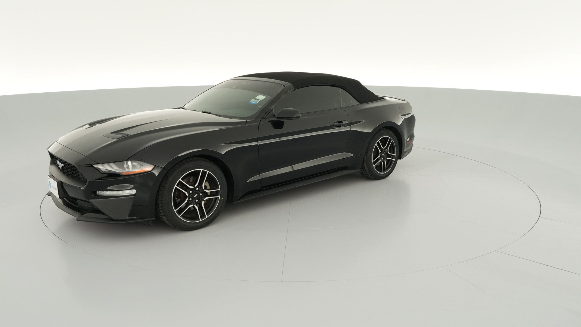 2022 Ford Mustang vehicle photo