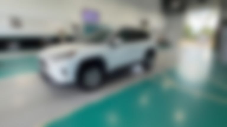 2019 Toyota RAV4 vehicle photo