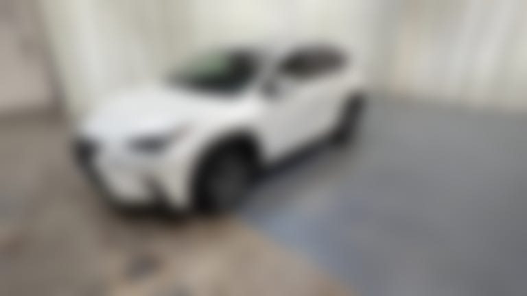 2020 Lexus NX vehicle photo