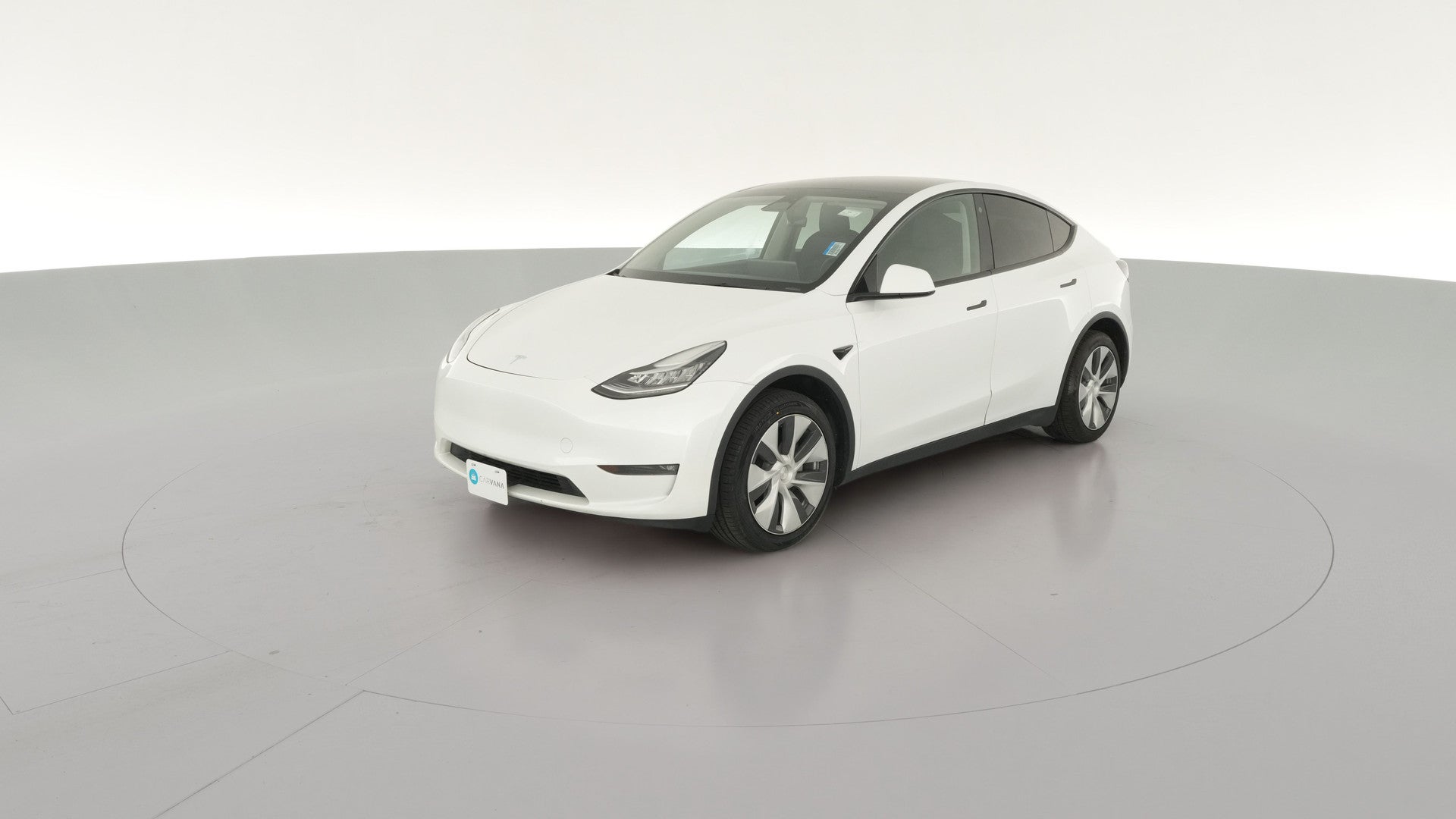 2023 Tesla Model Y vehicle photo