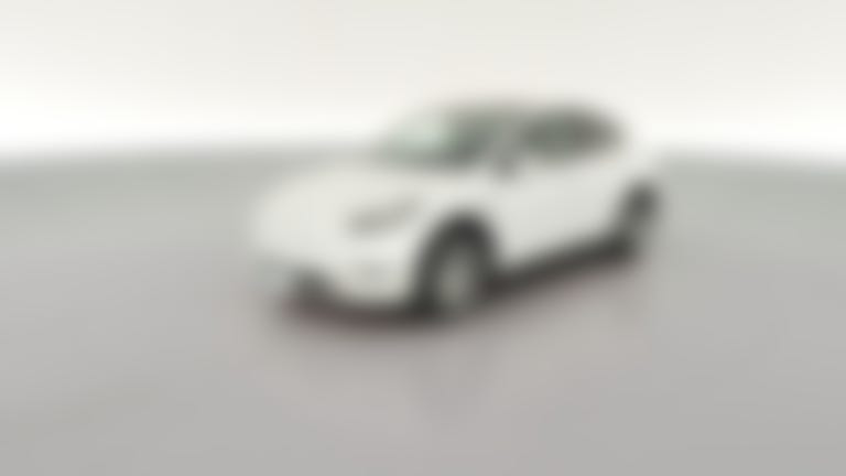2023 Tesla Model Y vehicle photo