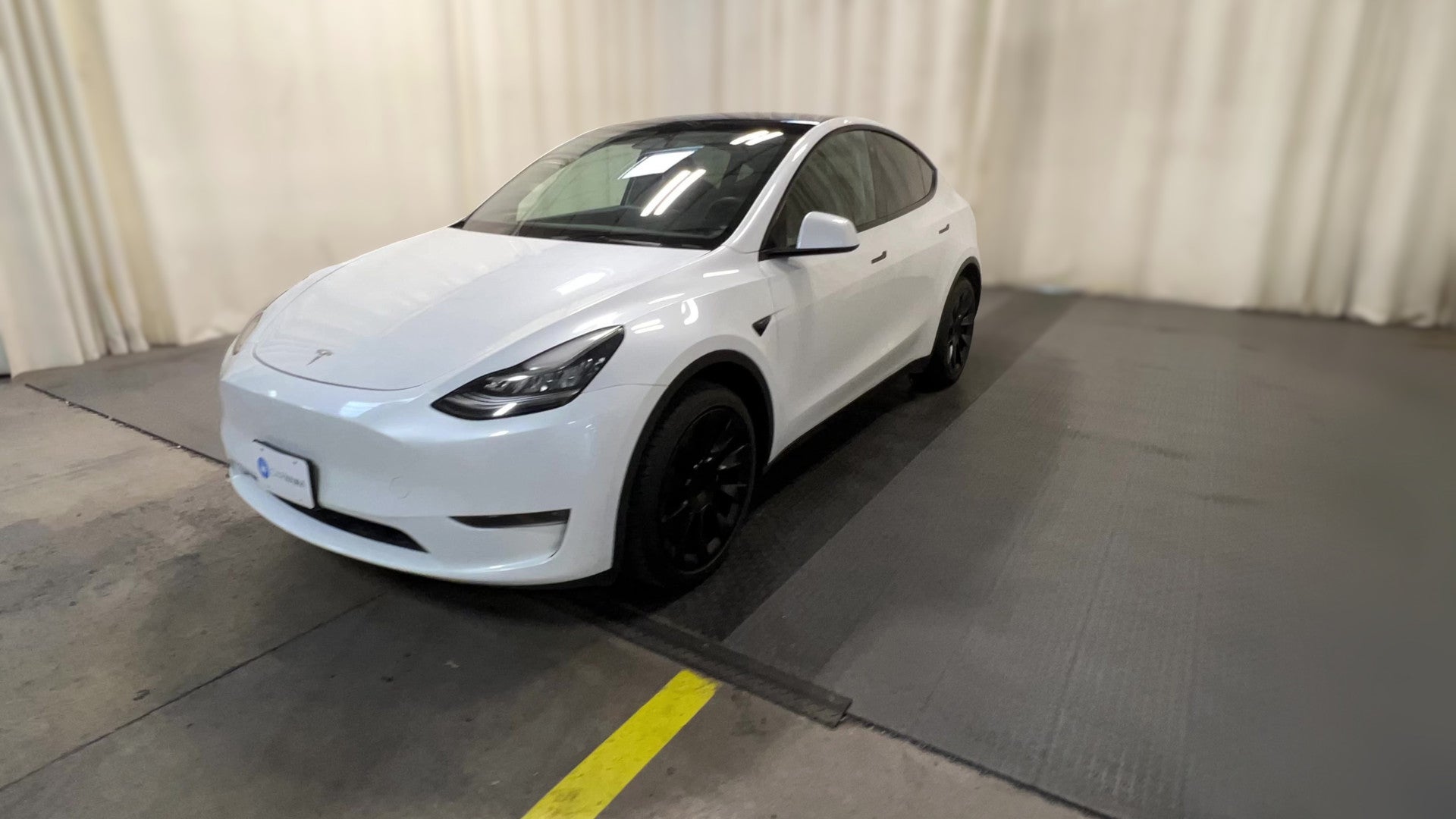 2023 Tesla Model Y vehicle photo