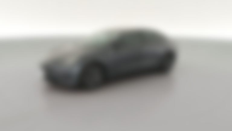 2020 Tesla Model 3 vehicle photo