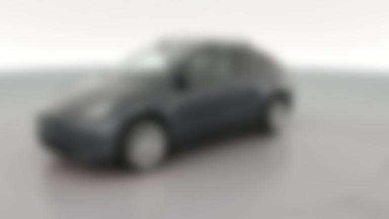 2020 Tesla Model Y vehicle photo