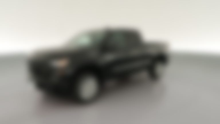 2023 Chevrolet Silverado 1500 Double Cab vehicle photo