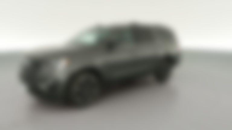 2020 Ford Expedition MAX vehicle photo