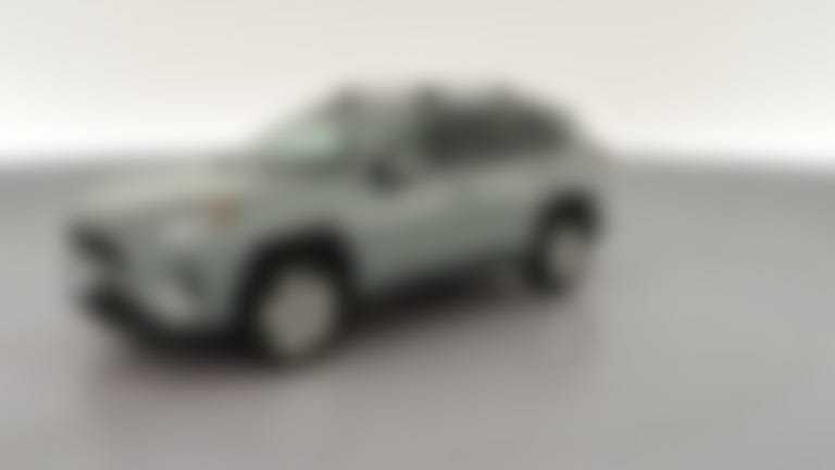 2019 Toyota RAV4 vehicle photo