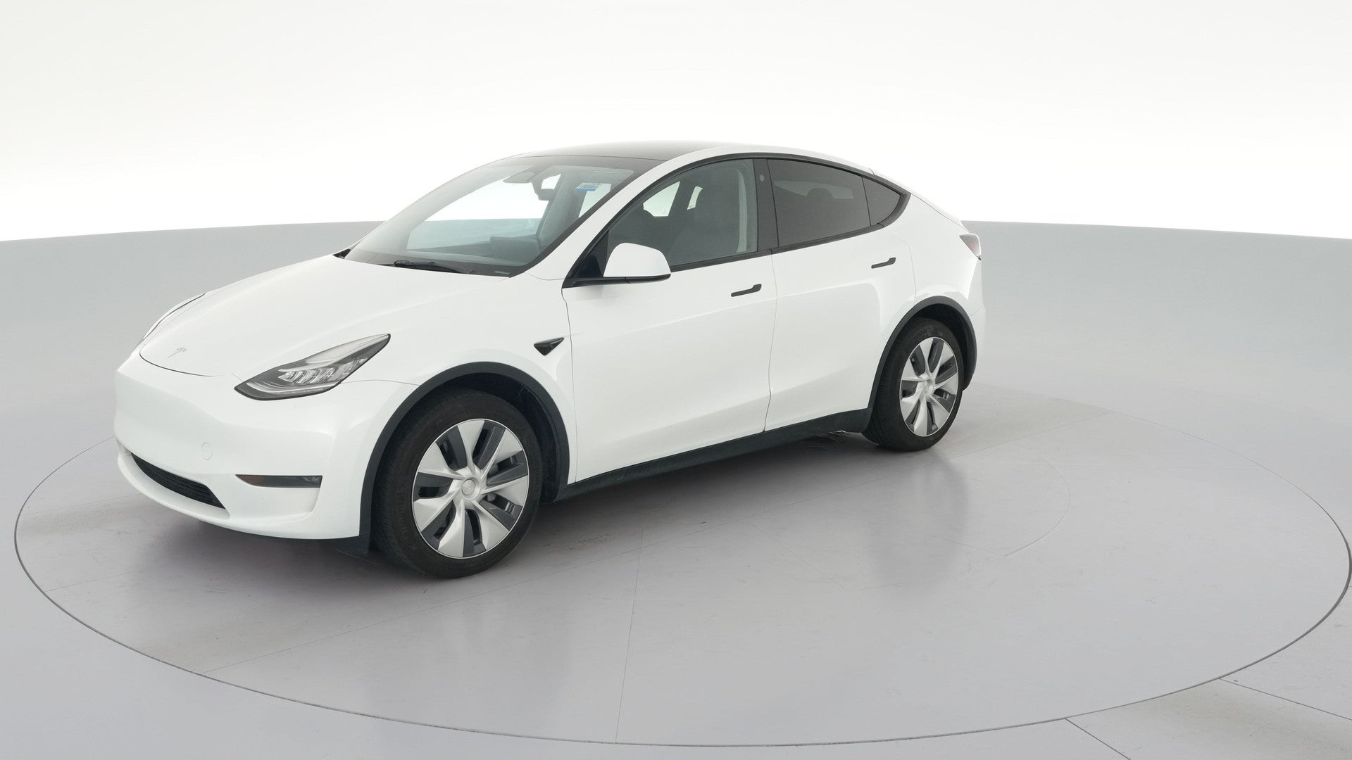 2023 Tesla Model Y vehicle photo