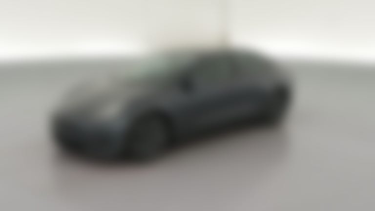 2021 Tesla Model 3 vehicle photo