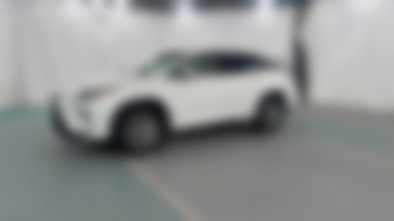 2019 Lexus RX vehicle photo