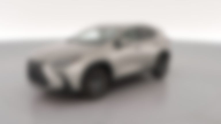 2024 Lexus NX vehicle photo