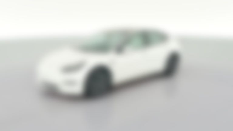2021 Tesla Model 3 vehicle photo