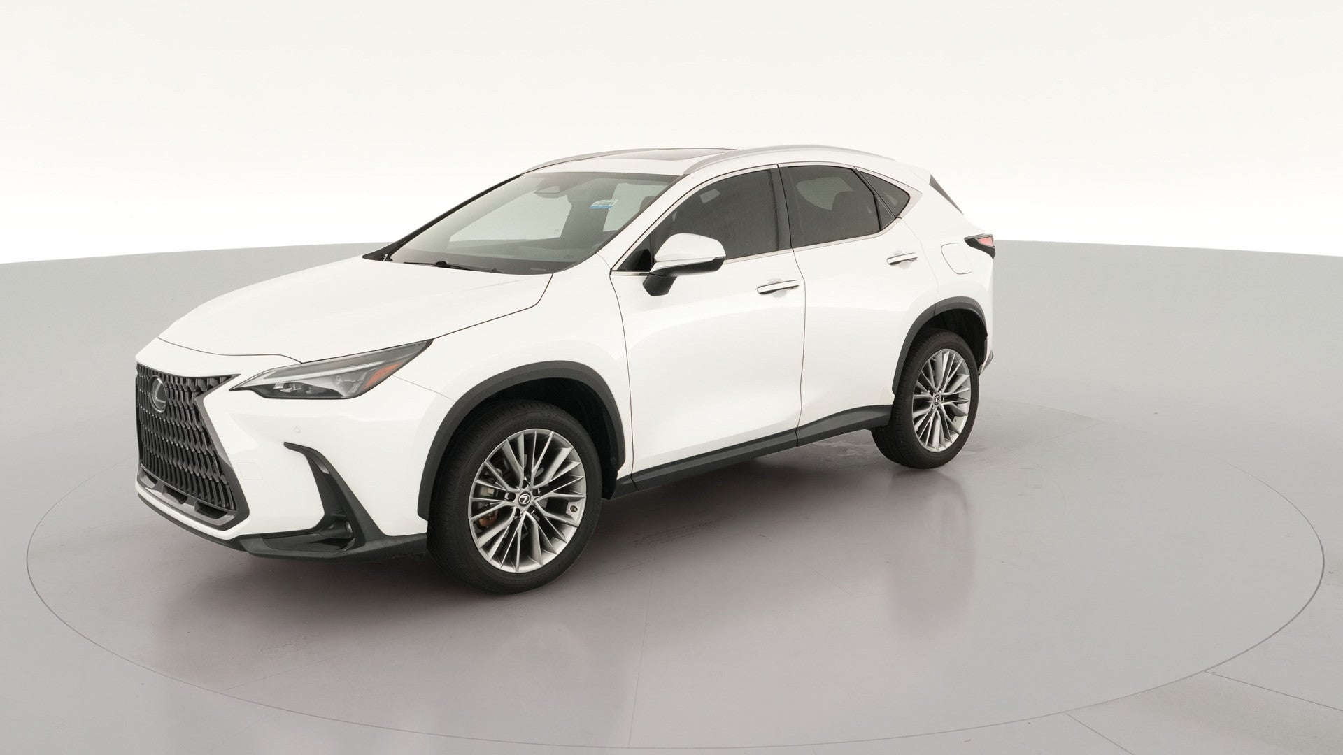 2022 Lexus NX vehicle photo