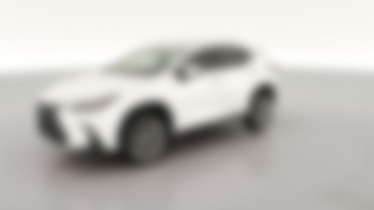 2022 Lexus NX vehicle photo