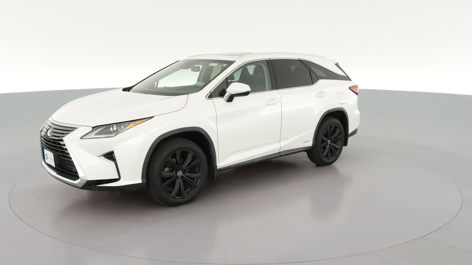 2019 Lexus RX vehicle photo