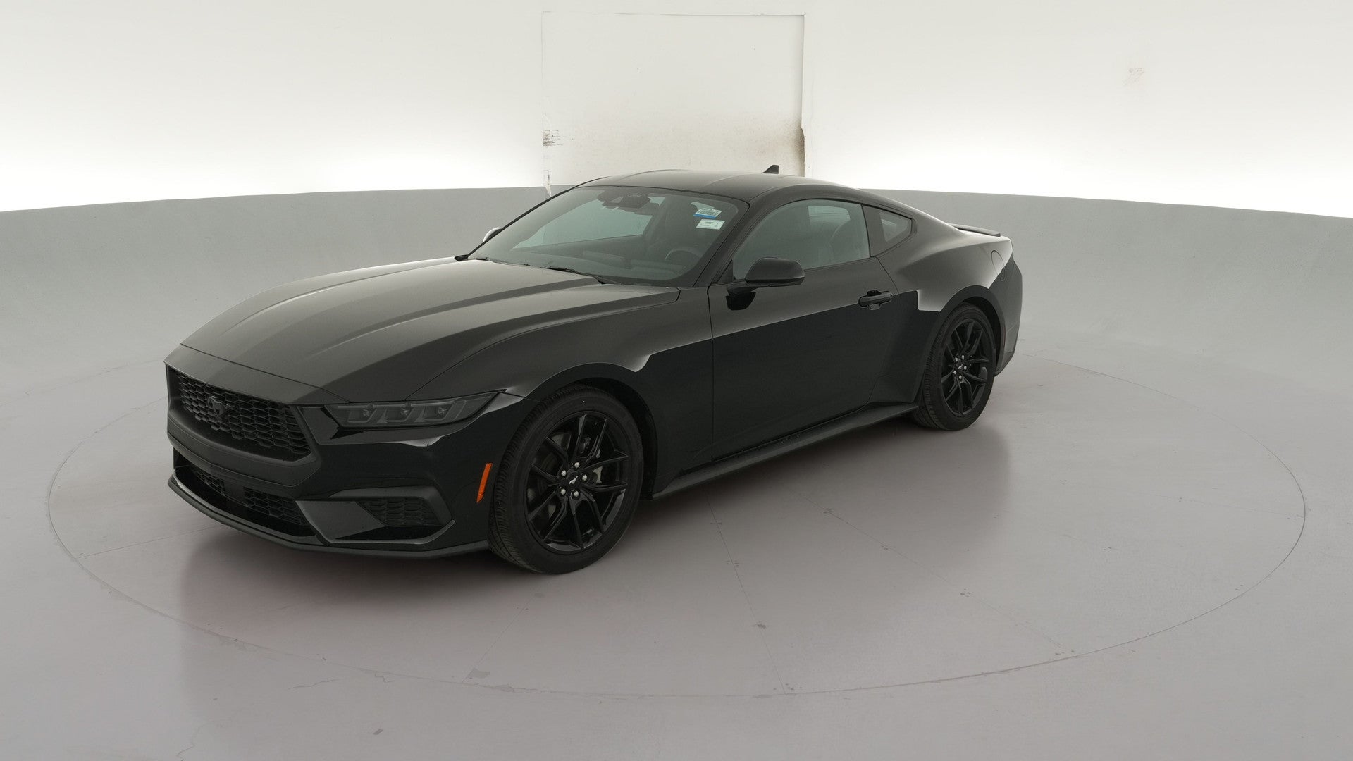 2024 Ford Mustang vehicle photo
