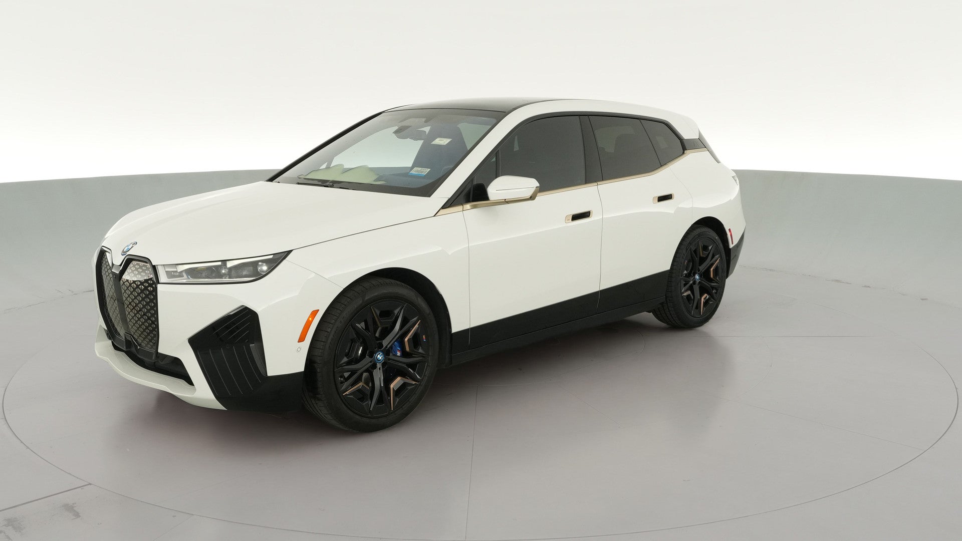 2024 BMW iX vehicle photo