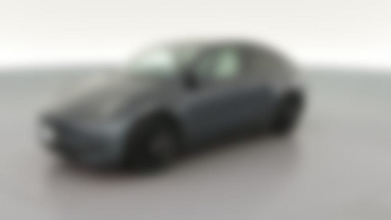 2023 Tesla Model Y vehicle photo