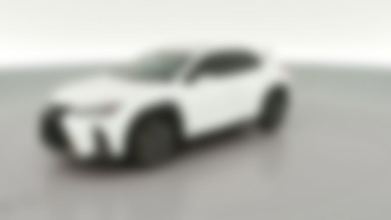 2019 Lexus UX vehicle photo