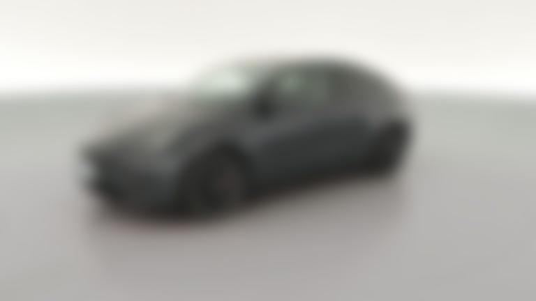 2024 Tesla Model Y vehicle photo
