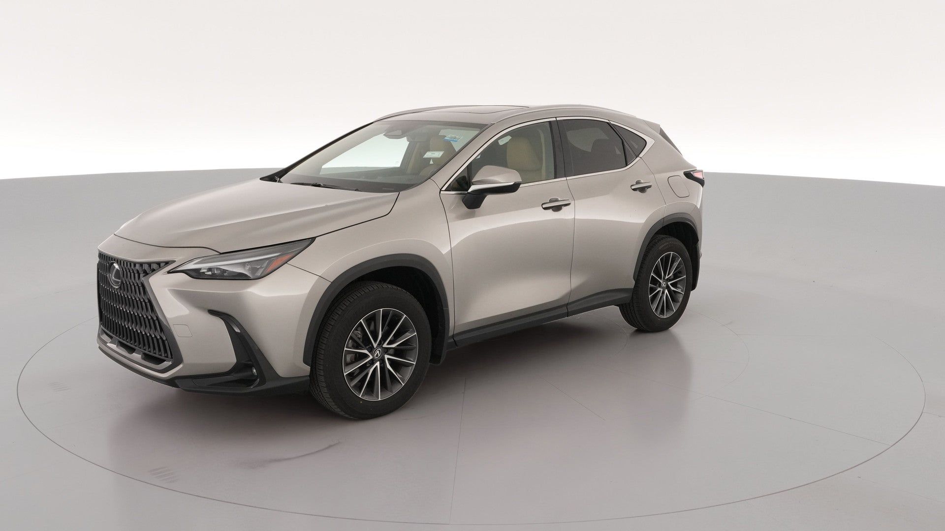 2024 Lexus NX vehicle photo