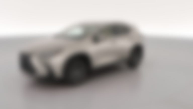 2024 Lexus NX vehicle photo
