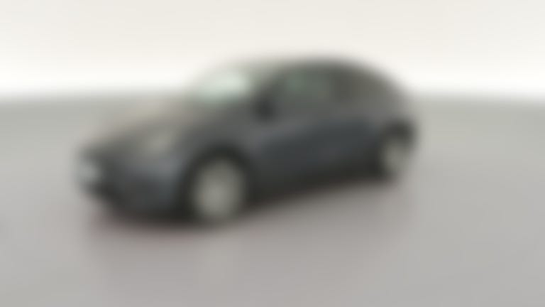 2022 Tesla Model Y vehicle photo