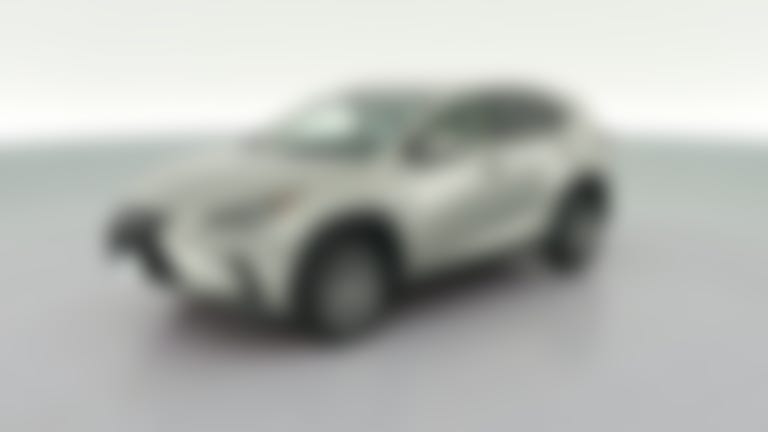2019 Lexus NX vehicle photo