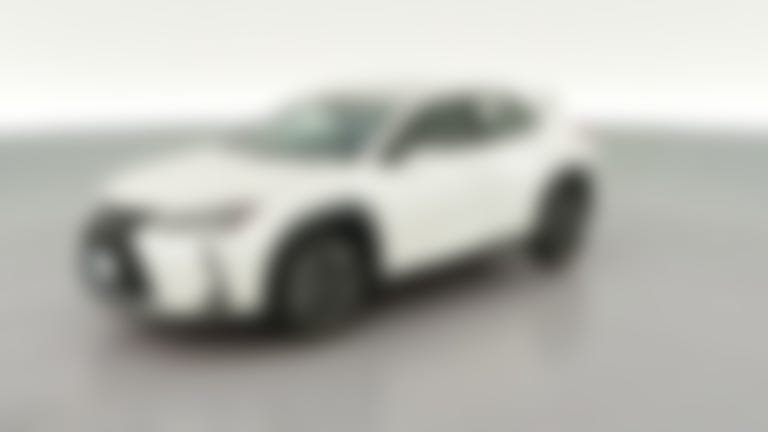 2019 Lexus UX vehicle photo