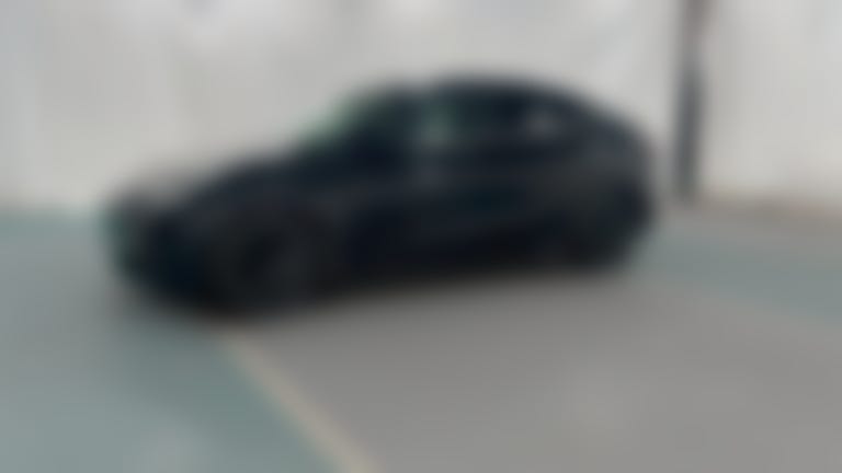 2021 Tesla Model Y vehicle photo