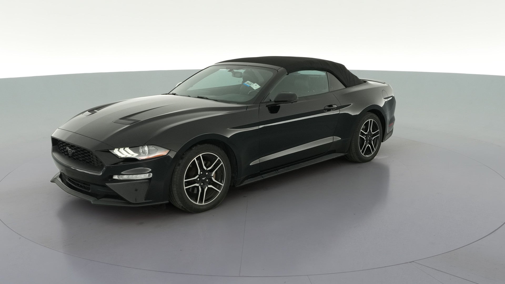 2019 Ford Mustang vehicle photo
