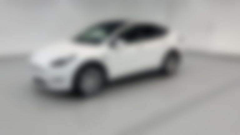2023 Tesla Model Y vehicle photo
