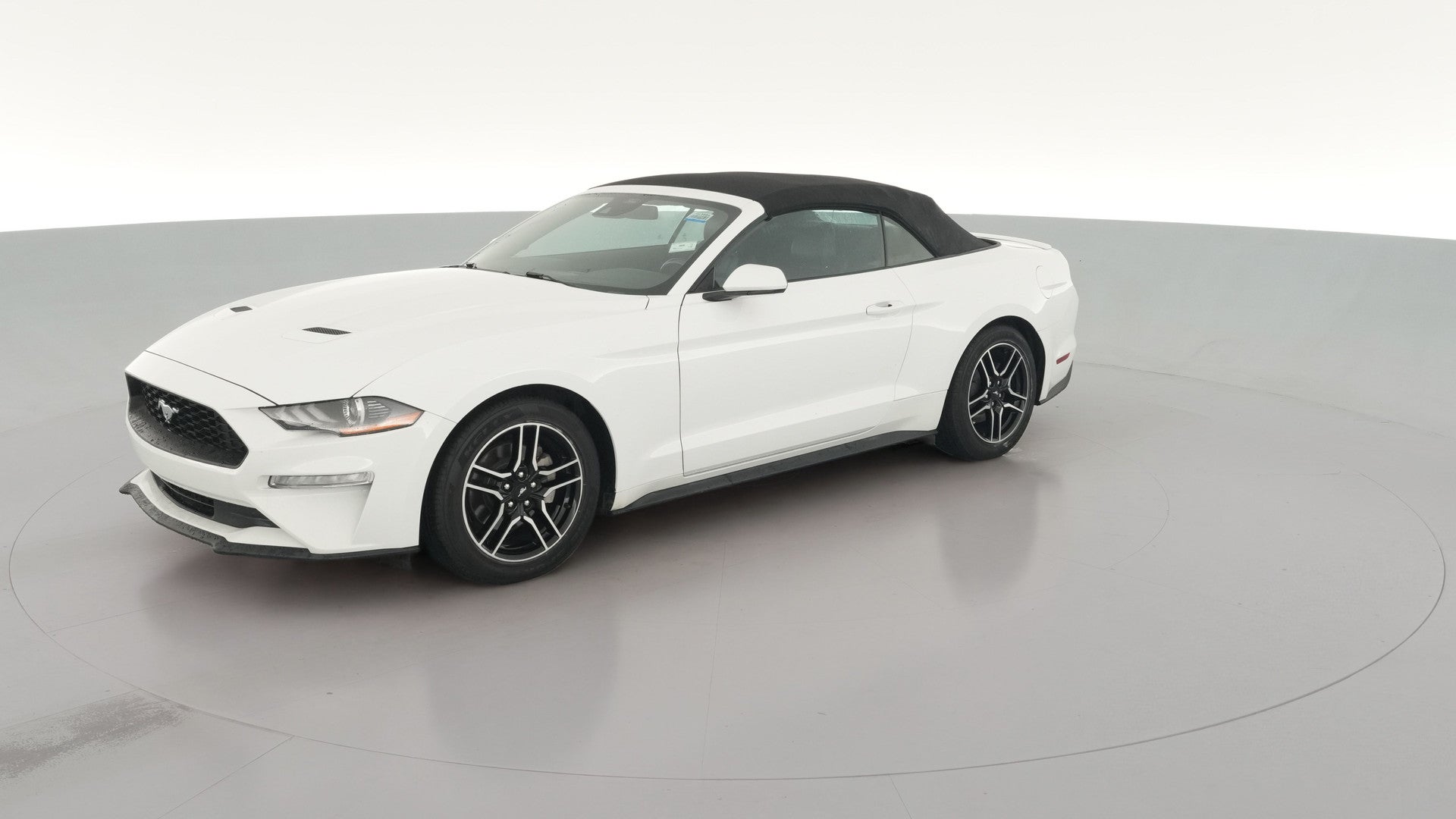 2022 Ford Mustang vehicle photo