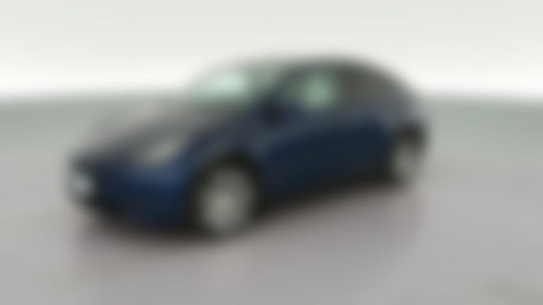 2021 Tesla Model Y vehicle photo