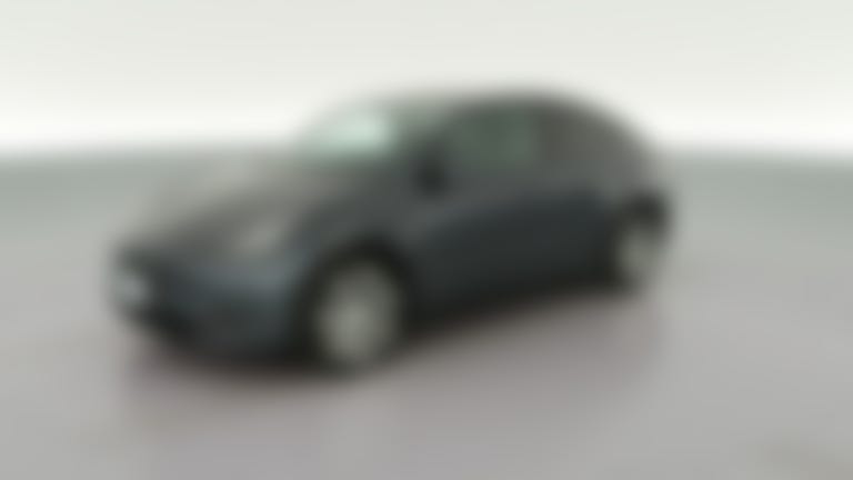 2021 Tesla Model Y vehicle photo