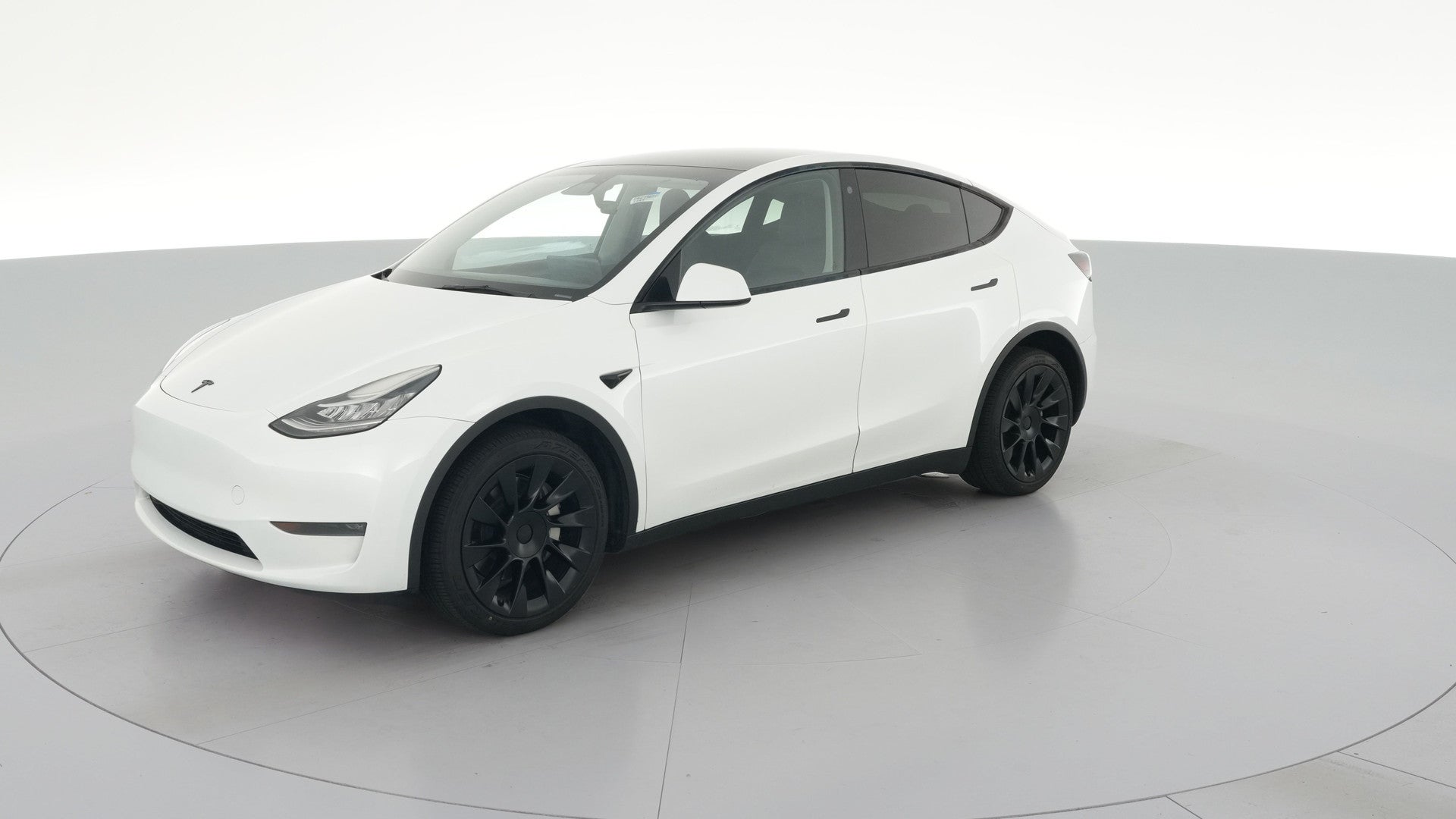 2023 Tesla Model Y vehicle photo
