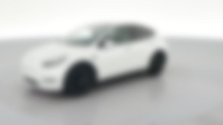 2023 Tesla Model Y vehicle photo